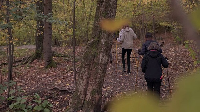 后视图的老年人徒步旅行与北欧手杖在森林视频素材