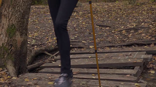 低部分活跃的老年人与远足杆行走在木板路在森林视频素材