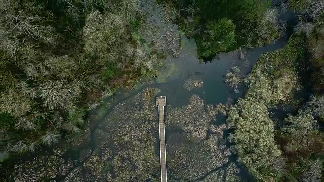 森林和河流鸟瞰图。视频素材
