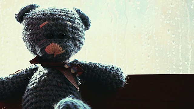 毛熊雨滴落窗视频素材