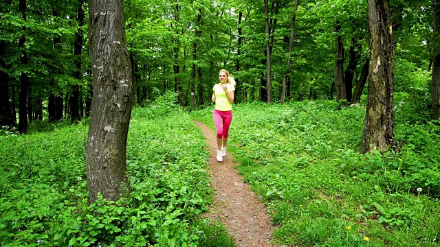 年轻的女运动员在森林里跑步伸伸腿。视频素材