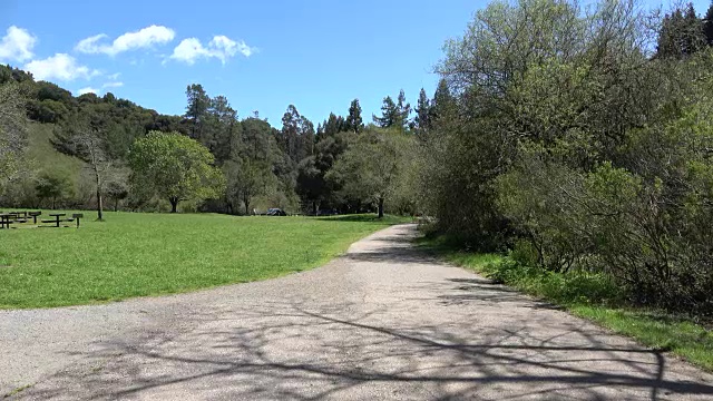 红杉地区公园的小径视频素材
