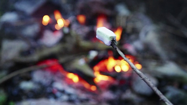 野餐时在篝火上煎棉花糖视频素材