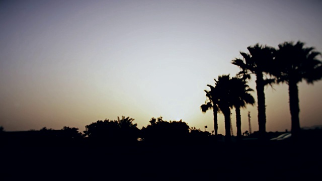 在异国他乡，棕榈树上美丽的日出视频素材