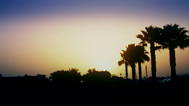 在异国他乡，棕榈树上美丽的日出视频下载