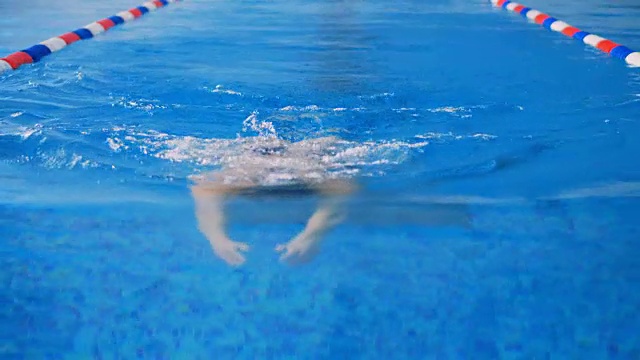 一名女运动员在游泳池里游自由泳。4 k。视频下载