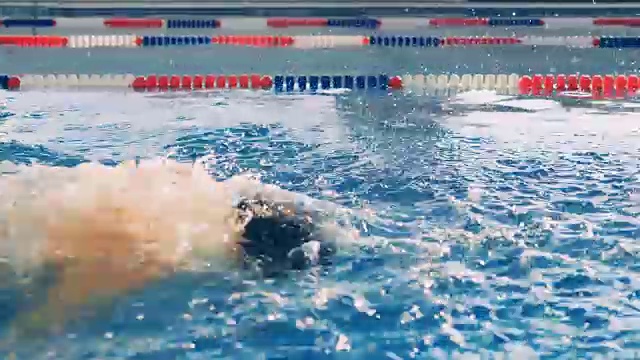 一个专业的游泳运动员正在训练，特写。视频下载