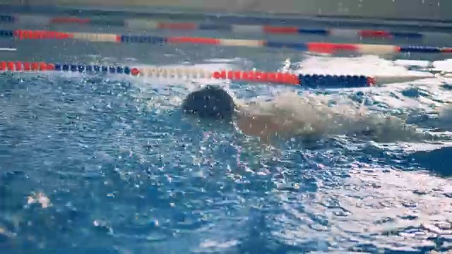 一个运动员在泳道上游泳，特写。视频下载