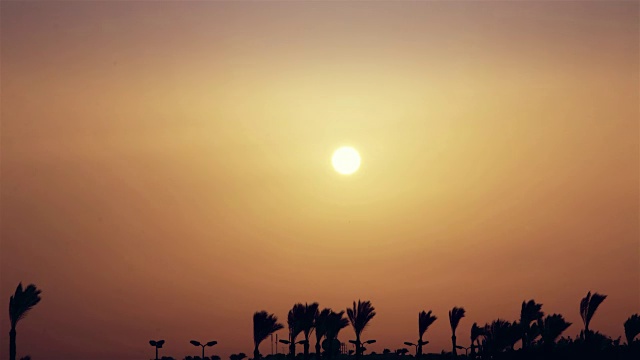 在异国他乡，棕榈树上美丽的日出。延时视频素材