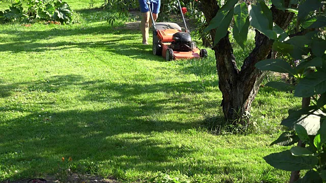 男性庭园设计师割草之间的花和果树在花园庭院。FullHD视频下载