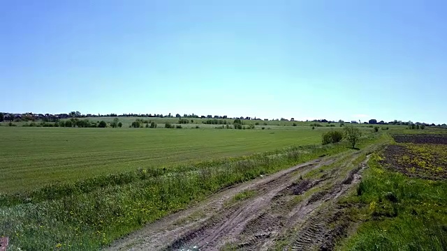 无人机在大片绿色麦田上空拍摄视频素材