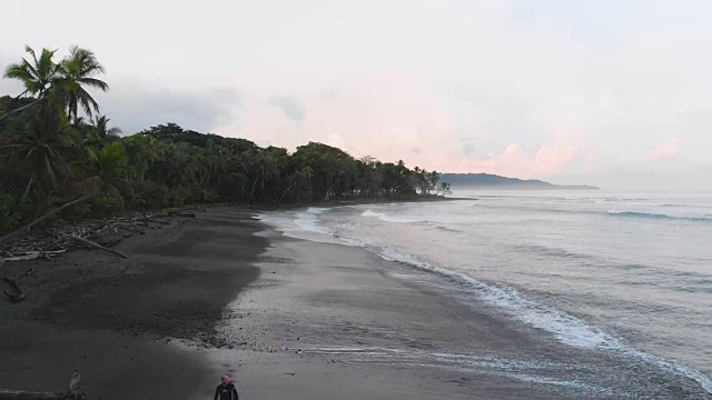 在热带海滩上散步视频素材