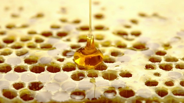 金色的蜂蜜滴在蜂蜡上视频下载