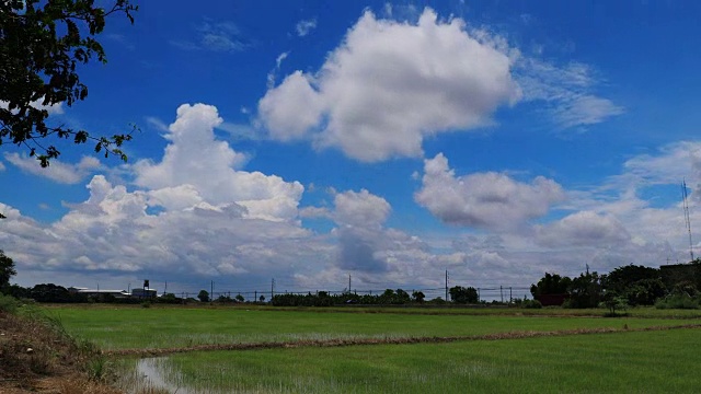 泰国中午，稻田上飘动的云和蓝天，时光流逝视频素材
