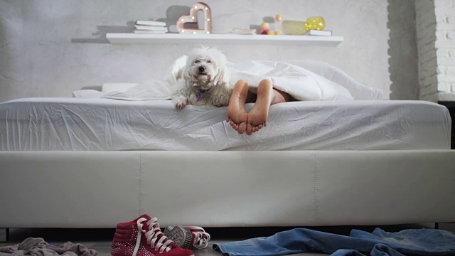 睡在床上的黑人女孩和狗和显示的脚视频下载