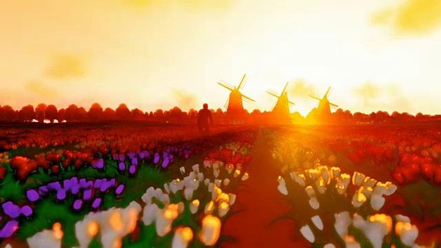 荷兰风车和骑自行车的人在美丽的日落与郁金香的田野，卡通风格的4K视频素材