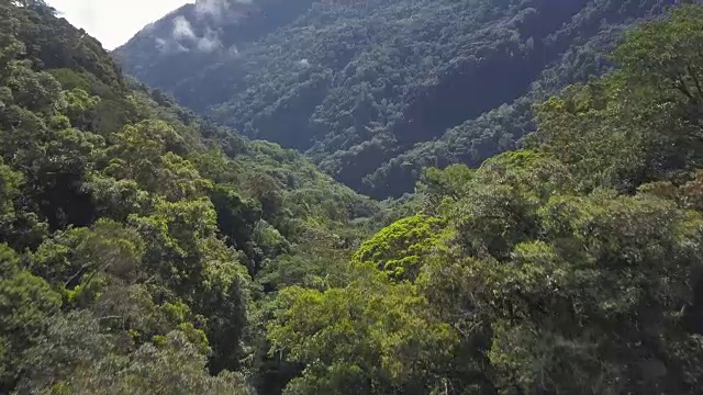 树木和山景视频下载