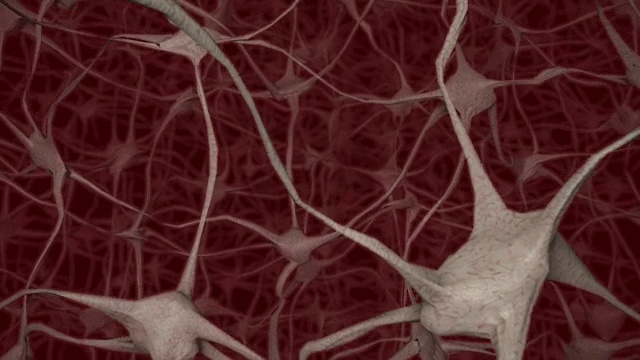 神经元大脑大脑轴突思想神经网络全息图细胞健康科学4k视频素材