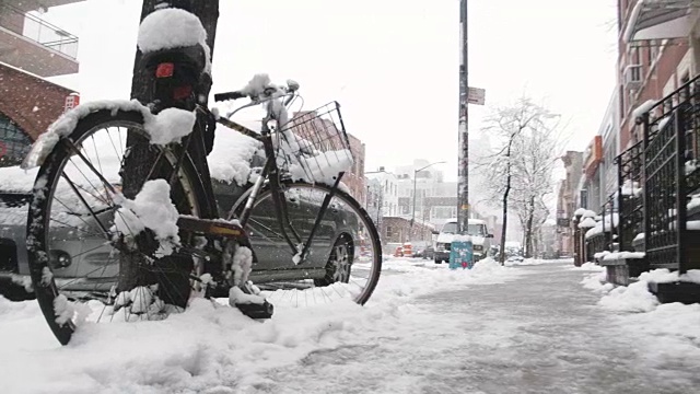 布鲁克林的下雪天视频下载