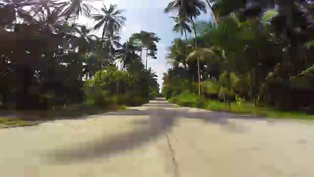 穿过丛林路在热带岛屿上开车视频下载