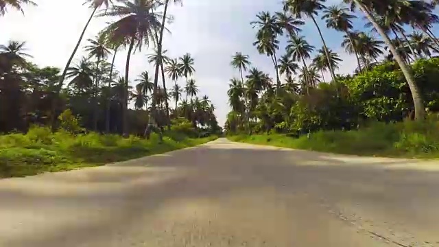 穿过丛林路在热带岛屿上开车视频下载