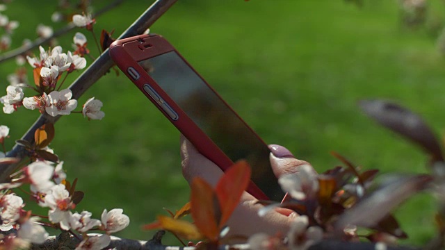 女性在公园用智能手机发短信视频素材