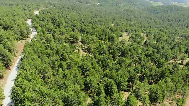 飞过森林中的道路视频素材