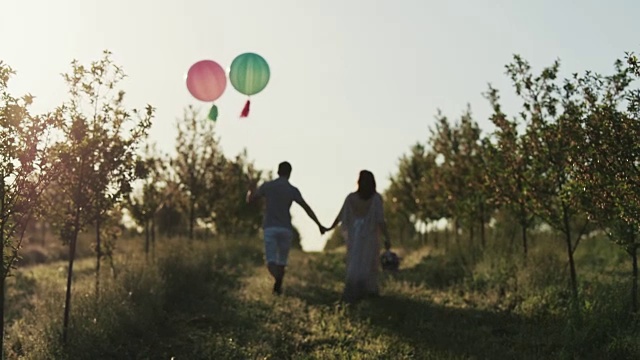 一对情侣在苹果园里散步，在日出时手牵着手视频素材