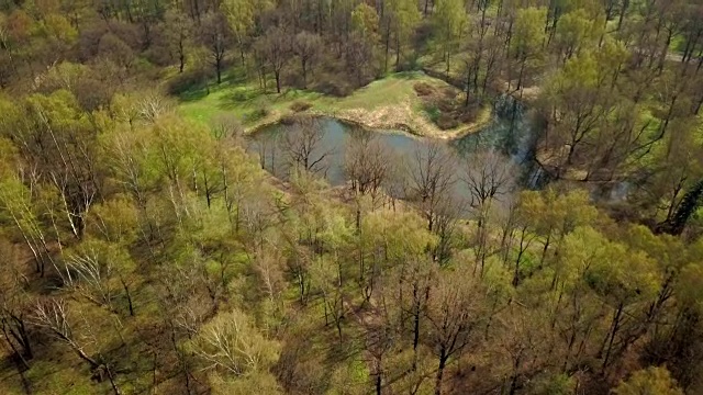 一架无人机飞过俄罗斯莫斯科郊外的一个池塘视频下载