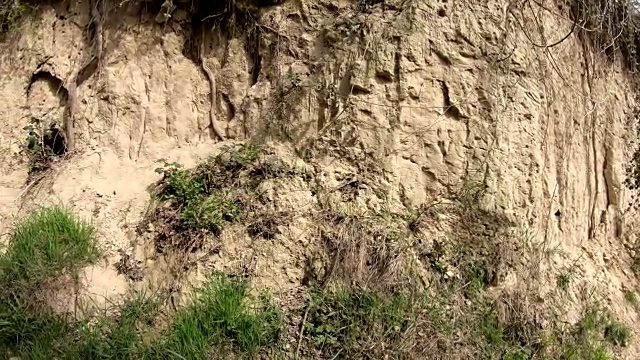 黄土土，Lösshohlgasse, Kaiserstuhl，侵蚀，地质，典型的空心巷视频素材