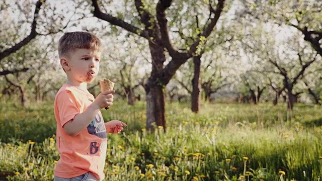 小男孩在舔蛋筒里的冰淇淋视频素材