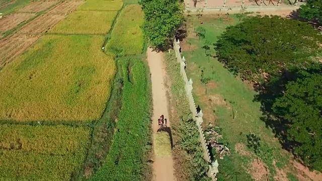 无人机拍摄:倾斜的两轮拖拉机载着沉重的稻草穿过稻田视频素材