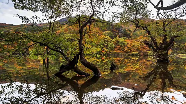 Jusanji Pond (Small reservoir located in Juwangsan National Park) (Popular tourist destinations)和倒影的树在秋天的Cheongsong, Gyeongsangbuk do视频素材