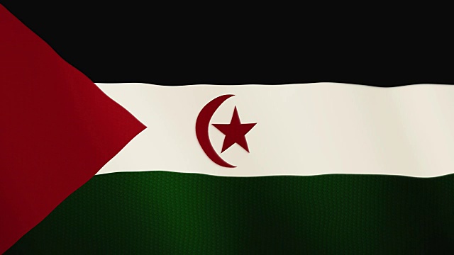 西撒哈拉旗帜飘扬的动画。全屏。国家的象征视频下载
