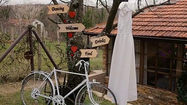 婚纱树上，婚纱概念视频素材