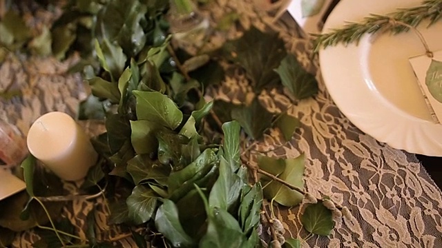 浪漫的绿色植物装饰视频素材