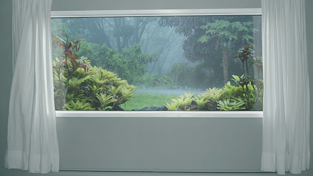 透过窗帘可以看到森林里的热带雨。背景板，色度键视频背景视频下载