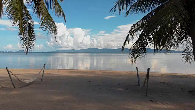 在奢华的度假胜地，一架照相机沿着棕榈树的海滩飞向大海视频素材