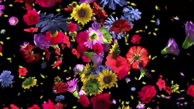 彩色大花背景在4K视频下载