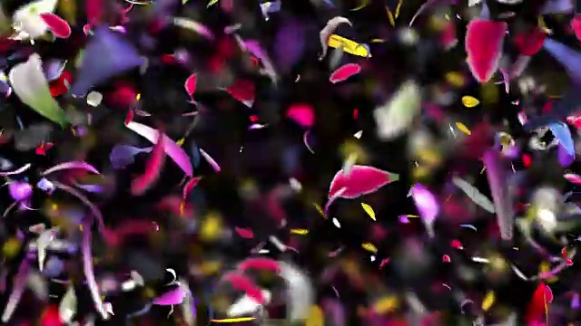 爆炸的花瓣在4K视频素材