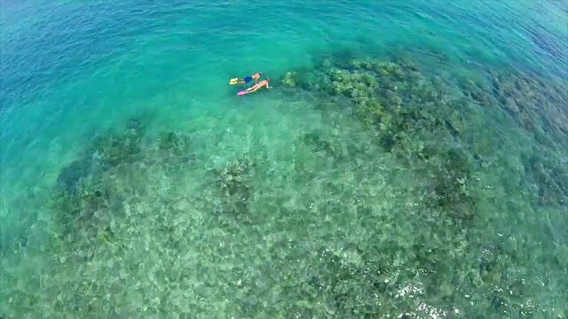 一个男人和女人夫妇浮潜在热带岛屿的珊瑚礁上方的鸟瞰图。视频下载