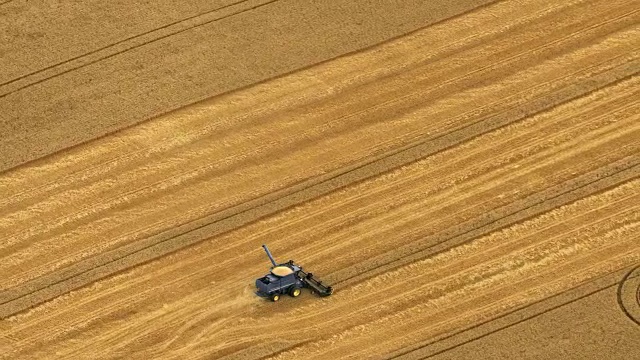 空中的联合收割机在广阔的田野上收割庄稼视频素材