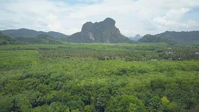 航拍:飞越热带雨林，向棕榈树种植园飞去。视频素材