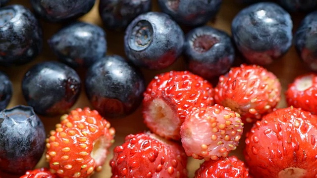 蓝莓和草莓视频下载