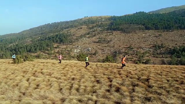 在早晨的阳光下，四名跑步者在长满草的小道上跑过一座山视频下载