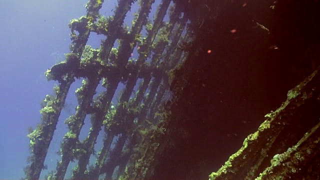 沉船水下背景海洋景观在红海。视频素材