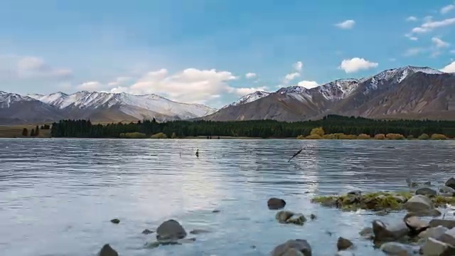 放大:特卡波湖是新西兰南岛的著名地标。视频素材
