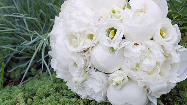 婚礼花束由白色玫瑰孤立在白色背景视频素材