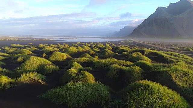 4K航拍电影在冰岛霍芬的黑海滩沙滩和韦斯特拉霍恩山夏季场景视频下载