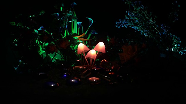 三个幻想发光的蘑菇在神秘的黑暗森林特写。美丽的微距魔术蘑菇或三个灵魂迷失在阿凡达森林。仙女灯的背景与雾。滑块。视频素材